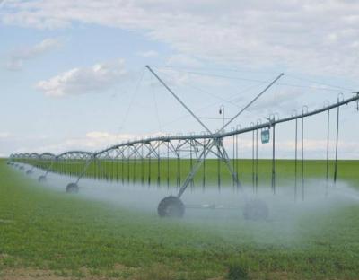 Прикрепленное изображение: поливалка.jpg